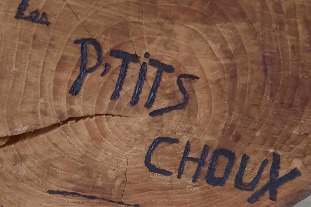 Gite Les Ptits Choux Saint-Quentin-Lamotte-Croix-au-Bailly Kültér fotó